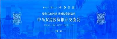 中国-东盟：深度聚焦马来西亚，实施精准战略布局